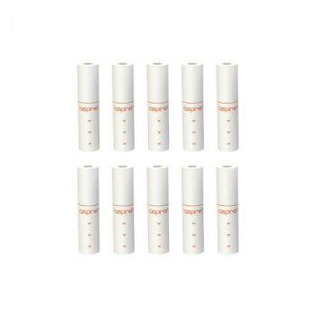 Lot de 10 filtres de remplacement Vilter Aspire
