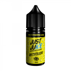 Kiwi Cranberries Glacées Concentré Iconic Just Juice 30ml