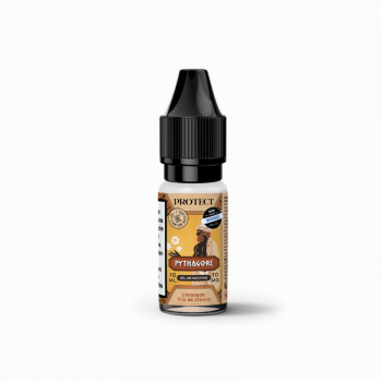 Pythagore Sel de Nicotine Protect 10ml 10mg