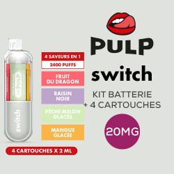 Kit Le Pod Switch 2400 4en1 (+ Pod 2ml 20mg) Gris Pulp