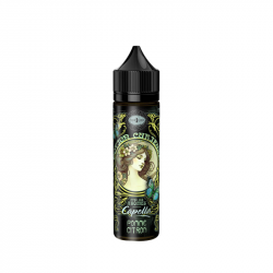 Pomme Citron Potion Curieuse Capella & Curieux 50ml