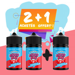 Offre Watermelon Coconut Strawberry Ice Vapor Bar Reload Vape 50mL