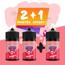 Offre Watermelon Ice Vapor Bar Reload Vape 50mL