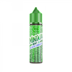 Mint & Blackurrant Mintaia 50ml