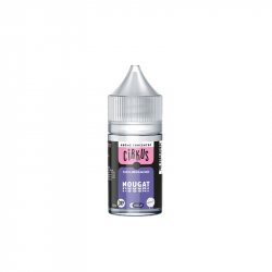 Nougat Concentre Cirkus Gourmand By VDLV 30ml