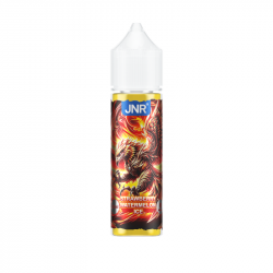 Strawberry Watermelon Ice JNR 50ml