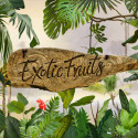 Exotic Fruits