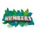 Numbers
