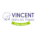 Vincent Dans Les Vapes Sel De Nicotine