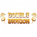 Double Dragon 