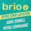 BRIO OFFER