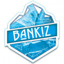 Bankiz